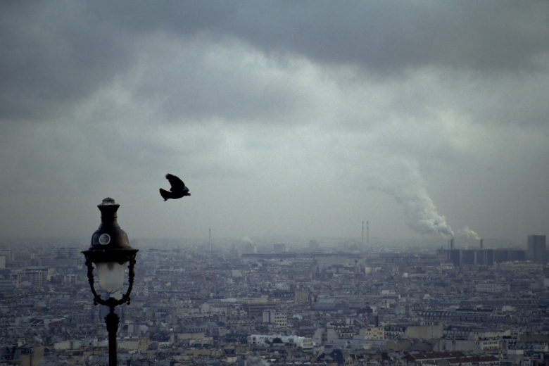 Paris/105 | Michaël Terraz