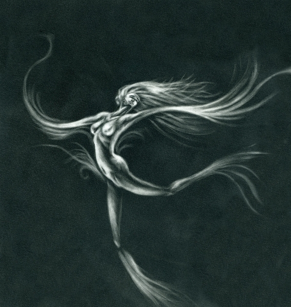Sylphide | Michaël Terraz